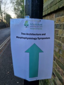 tree symposium arboricultural consultants